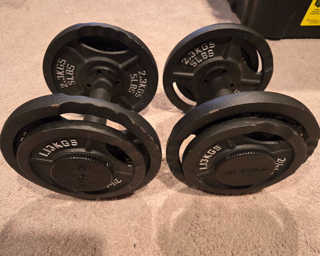 A pair of adjustable handles loaded with kilogram plates