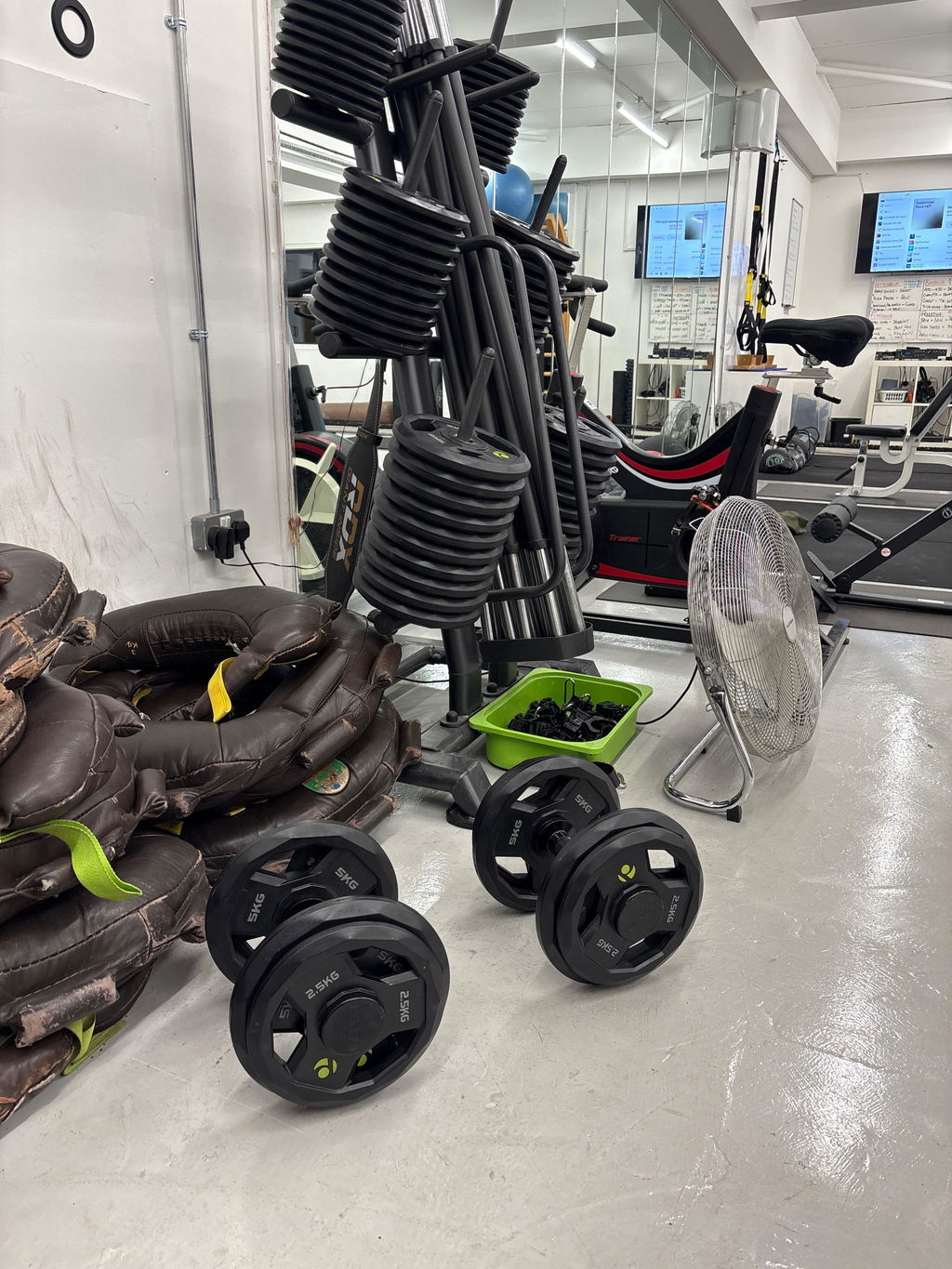 Adjustable handles and loose plates on a home gym floor