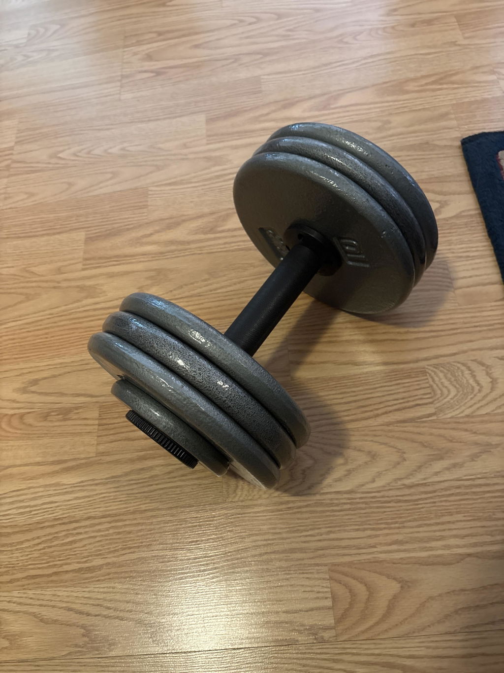A plate loaded dumbbell handle standing upright on a wood floor carrying three grey iron plates on each end