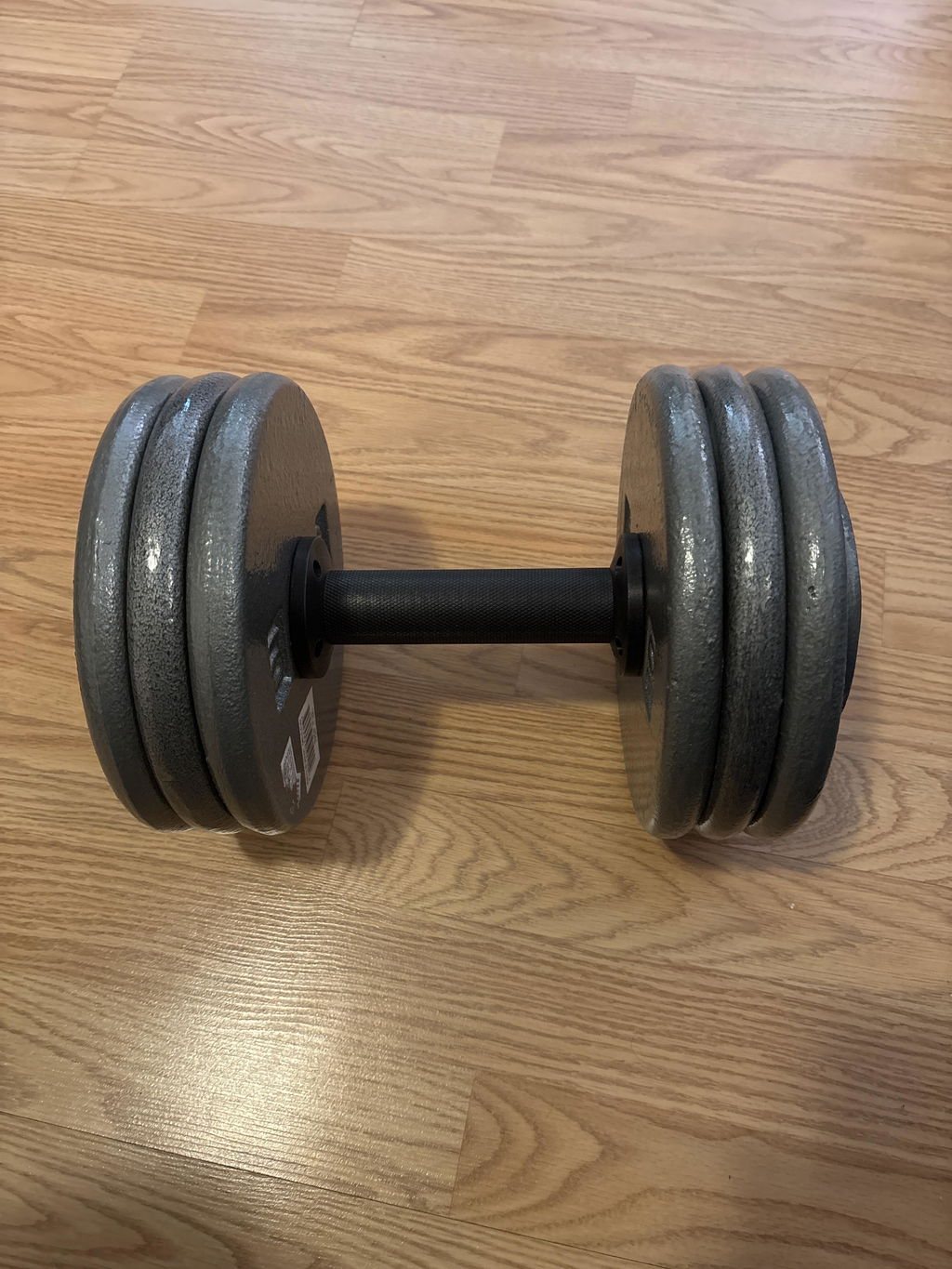 A plate loaded dumbbell handle on a wood floor carrying three cast iron plates a side